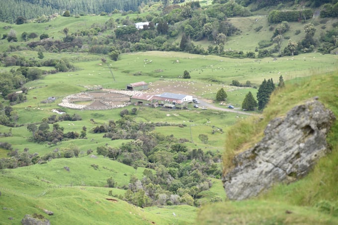 DSC_6682.jpg