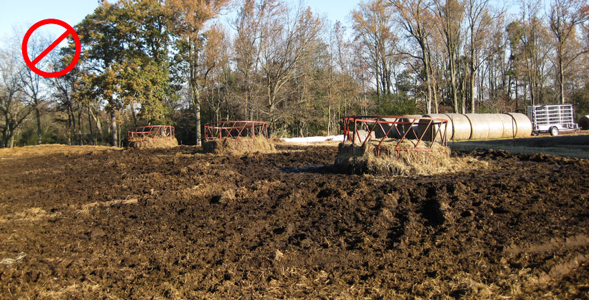 Wasted-hay-in-rings